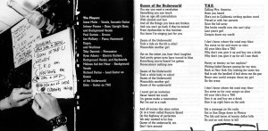 Jesse Malin Fine Art Of Self Destruction photo by Keena Gonzalez