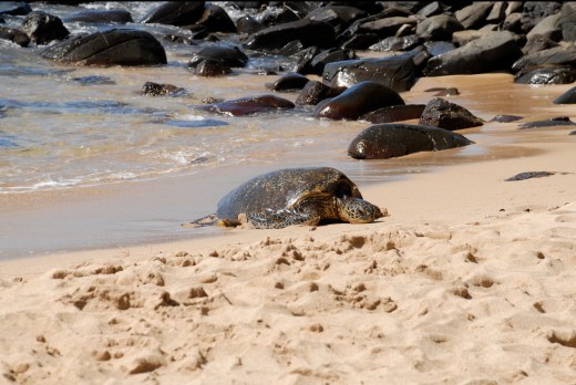 Wedding photo by Keena Gonzalez
