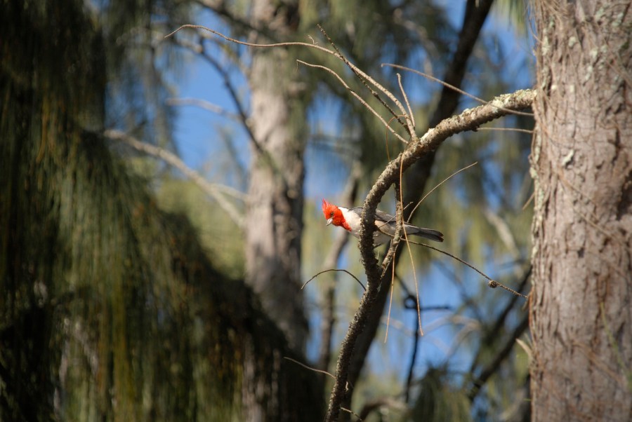 Wedding photo by Keena Gonzalez